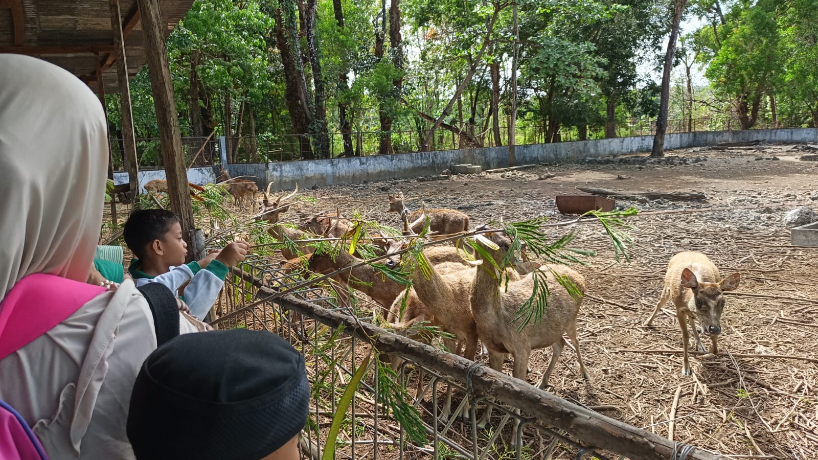 Kunjungan TK Nurul Iman ke KHDTK Oelsonbai: Anak-anak Belajar Cinta Satwa